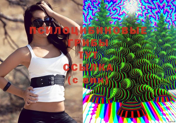 прущая мука Абдулино