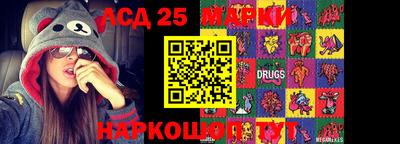 mdpv Гатчина